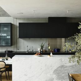 Eldora-Marble-kitchen-countertop